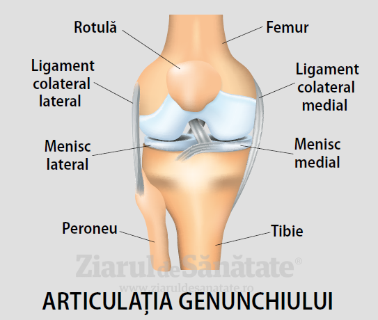 toate bolile articulației genunchiului