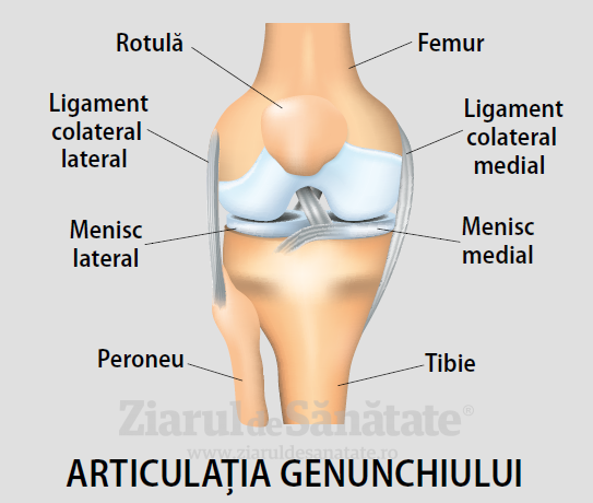 cum se tratează neurita articulației umărului