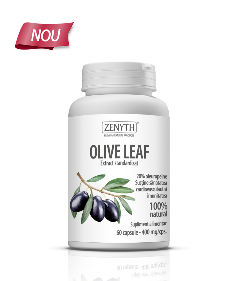 Olive-Leaf