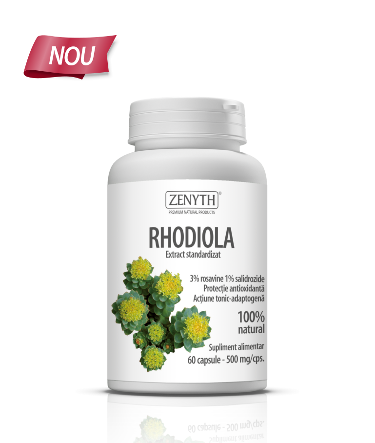 Rhodiola