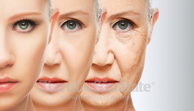 autofagie biogeneză anti îmbătrânire