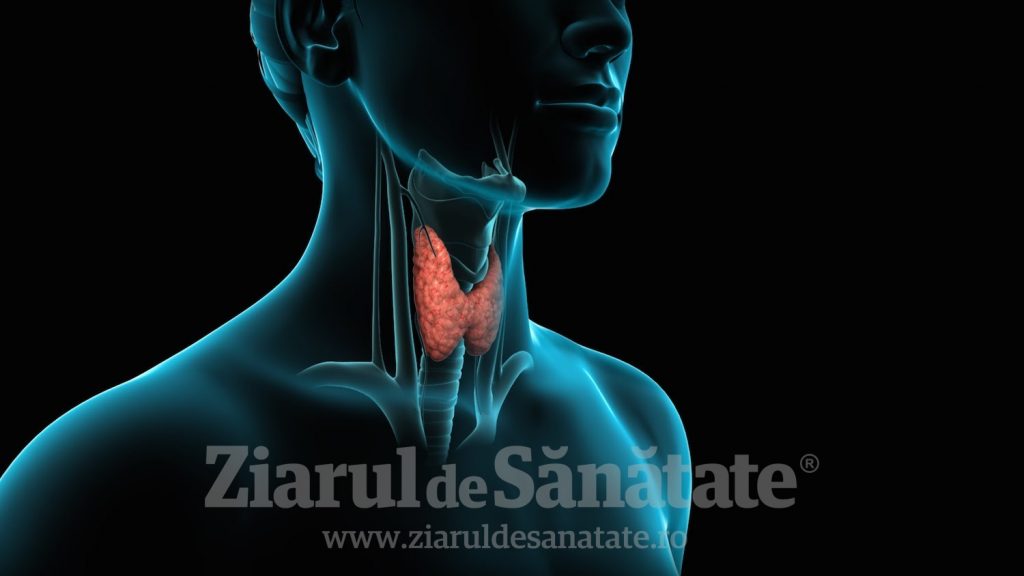Beneficii Ashwagandha (Ginseng) in afectiunile tiroidei