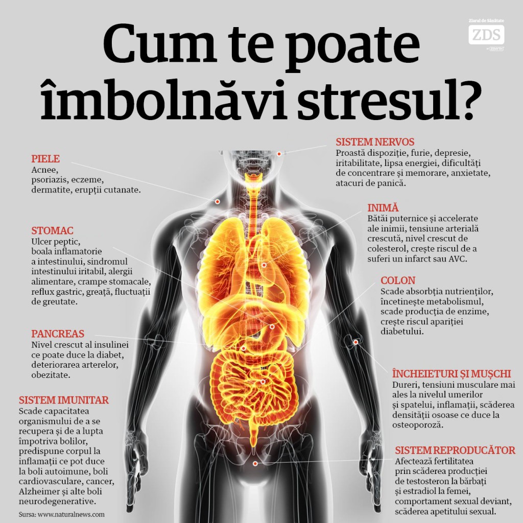 Stresul Este Molipsitor Hellosanatate Ro