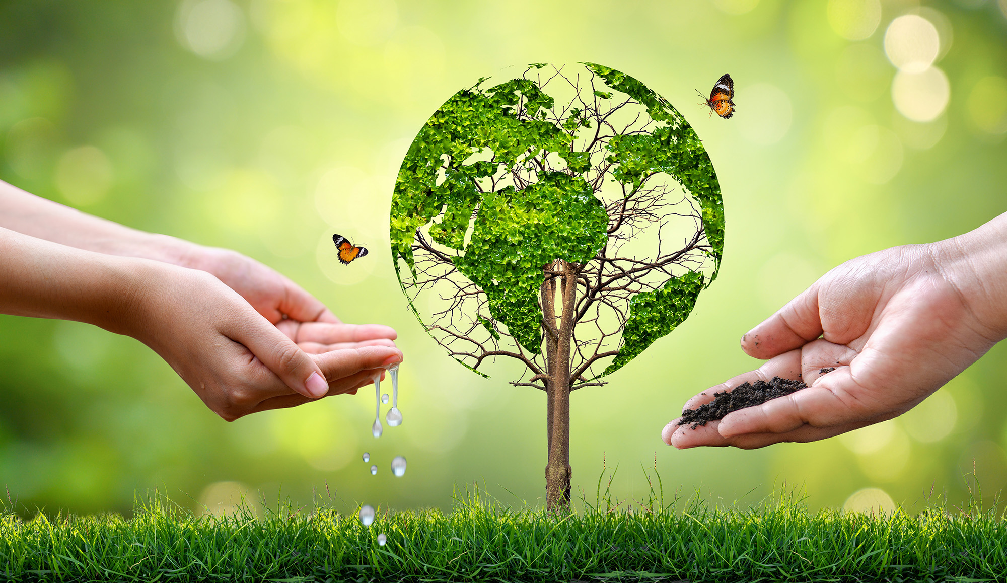 Introducere în microbiomul uman – HelloSanatate.ro