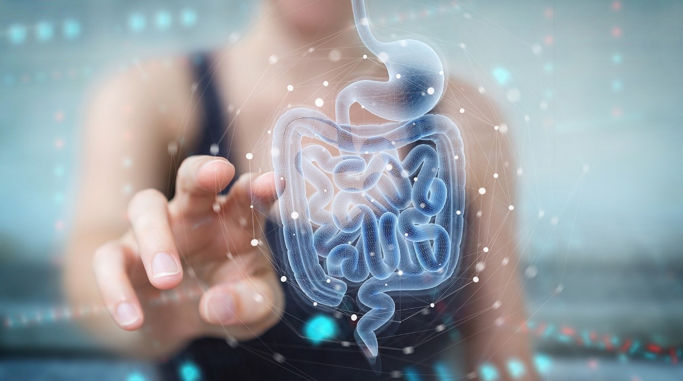 Legătura dintre microbiomul și sistemul reproducător feminin (I)